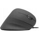 Mysz Speedlink Speedlink mouse Piavo Vertical USB (SL-610019-RRBK)
