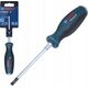 Bosch Bosch Screwdriver SL 5,5 x 100