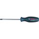 Bosch Bosch Screwdriver TX 30 x 125