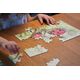 Castorland Puzzle 60el Biedronki