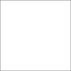 Talens Talens Gouache Extra Fine Quality Bottle White 100