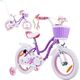 Royalbaby RoyalBaby Rower dziecięcy STAR GIRL 14" koszyk kółka boczne pchacz RB14G-1