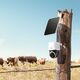 Kamera IP Eufy Eufy S330 - Netzwerk-Uberwachungskamera - schwenken / neigen - Aussenbereich - staubbestandig/wasserfest - Farbe (Tag&Nacht) - 4K - Audio - drahtlos - Wi-Fi - 4G