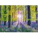 Schmidt Spiele Puzzle PQ 1000 Drzwi do lasu G3