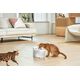 Catlink Inteligentna fontanna/poidło dla psa i kota Catlink Pure 3 Przewodowe (białe)