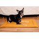 Mimikoko MIMIKO Pets Mata Velvet 100x70cm musztarda