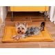 Mimikoko MIMIKO Pets Mata Velvet 70x50cm musztarda