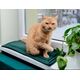 Mimikoko MIMIKO Pets Mata Velvet 25x70cm butelkowa zieleń