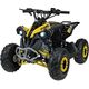 1DEA.me Pojazd Quad Spalinowy RENEGADE HIPERFECT 110CC Żółty