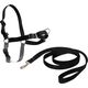 PetSafe Petsafe Easy Walk® Harness XL juodos petnešos lengvam pasivaikščiojimui (apimtis 86-117cm)