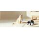 Enabot Enabot ROLA PetPal Treat Dispenser | WH287305