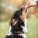 IdeaPet IdeaPet O! Paluszki z łososiem i białą rybą 70g