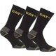 CAT Male socks CAT DYP393 black 41/45 3pr
