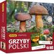 Adamigo Gra Memory - Grzyby Polski