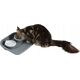 Savic SAVIC-ZESTAW BUTLER FOOD TRAY 45x36x8cm