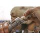 Dremel DREMEL CLAW TRIMMER WITH EZ SPEEDCLIC STEM SC402 +4 DISCS