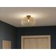 Lampa sufitowa EGLO CEILING LIGHT VENEZUELA E27 900165 BL/GL
