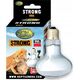 Aqua Nova AQUA NOVA ŻARÓWKA GRZEWCZA UVA REPTILE    STRONG 25W