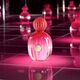 Antonio Banderas Kvapusis vanduo Antonio Banderas The Icon Woman EDP, 50 ml