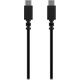 Kabel USB Garmin Garmin USB-Kabel – Typ C auf Typ C (0,5 m)