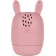 Canpol CANPOL BABIES set of twisted silicone bath toys, 3m+, 4 pcs., 80/308