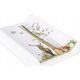 Ceba CEBA Hard changing pad  Basic, 50x70 cm, Woodland, W-206-000-724