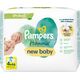 Pampers Chusteczki nawilżane Delicate Care New Baby 4 x 46 szt.