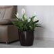 Deska sedesowa Puku pods Magnolija 300x265mm  balts