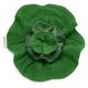 Oli&Carol Oli&Carol Kendall the Kale Mini Doudou-Teether, 0+