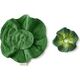 Oli&Carol Oli&Carol Kendall the Kale Mini Doudou-Teether, 0+