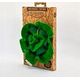 Oli&Carol Oli&Carol Kendall the Kale Mini Doudou-Teether, 0+