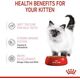 Royal Canin Kitten galaretka 85g