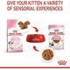 Royal Canin Kitten galaretka 85g