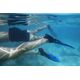 Bestway Bestway Hydro-Pro BlackSea Snorkel & Fin Set, Adult, Half face mask, Tempered glass, Assorted colours, Silicone, 43-48