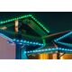 Lampki choinkowe Twinkly Twinkly C9 Bulbs Smart LED 40 RGB, 12.2m, Žalias wire|Twinkly