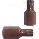 Forsage Bit 12-promieniowy SPLINE M8x10mm L-30mm