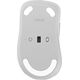 Mysz Asus Asus Wireless Mouse | MD102 | Mouse | 2.4 GHz, Bluetooth | White