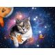 Brio Ravensburger - Cats In Space 1500p - (10217439) /Puzzles /Multi
