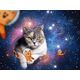 Brio Ravensburger - Cats In Space 1500p - (10217439) /Puzzles /Multi