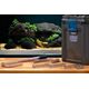 Oase Oase BioMaster2 Thermo 850 (Naujas modelis)