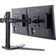 iiyama Stojak biurkowy na 2 monitory 10" - 30" (DS1002D-B1)