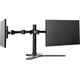 iiyama Stojak biurkowy na 2 monitory 10" - 30" (DS1002D-B1)