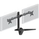 iiyama Stojak biurkowy na 2 monitory 10" - 30" (DS1002D-B1)
