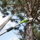 Piła łańcuchowa Greenworks G24PS20 24 V 20 cm