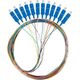 Lanberg Pigtail SM SC/UPC Easy Strip 9/125 G657A1 12X2M multikolor
