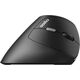 Mysz Rapoo RAPOO MYSZ ERGONOMICZNA BEZPRZEWODOWA EV250