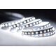 Taśma LED MW Lighting TAŚMA LED LED60-12V/6W-NW/5M - 4000&nbsp|K MW Lighting