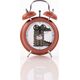 Ρολόι συλλογής Home Styling με δυνατό ξυπνητήρι SAFARI 13937733 5902973432237