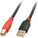 Kabel USB Lindy USB-A - USB-B 15 m Czarny (42762)