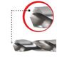 Wiertło Pro-Line do metalu HSS walcowe 2mm 10szt. (78420)